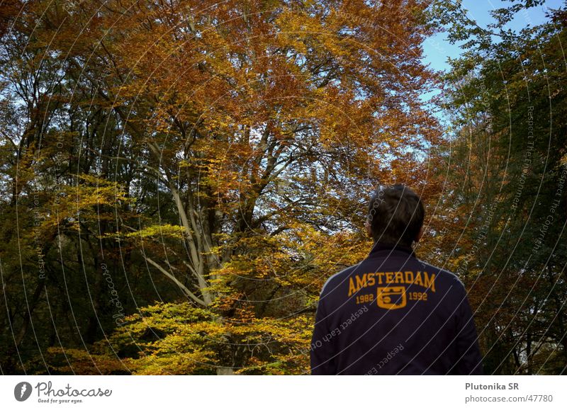 Amsterdam in the Fall Autumn Dark hair Green Tree Forest Sky Orange vest Looking To fall sweatshirt trees view