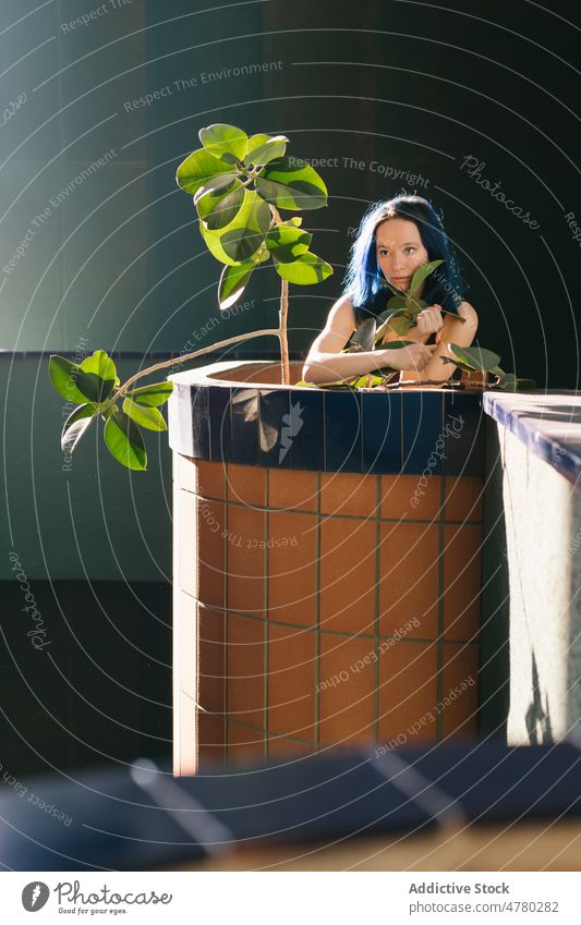 From above of sensitive woman lying on tiled floor in room and looking her hands balcony building flower style appearance feminine dreamy plant trendy charming