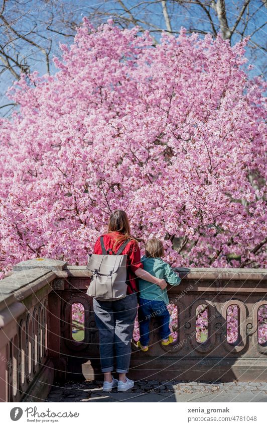 Mother and child in front of cherry blossoms Cherry Blossom Mother's Day Spring maternity Nature parenthood Parent with child Mother with child Infancy Life