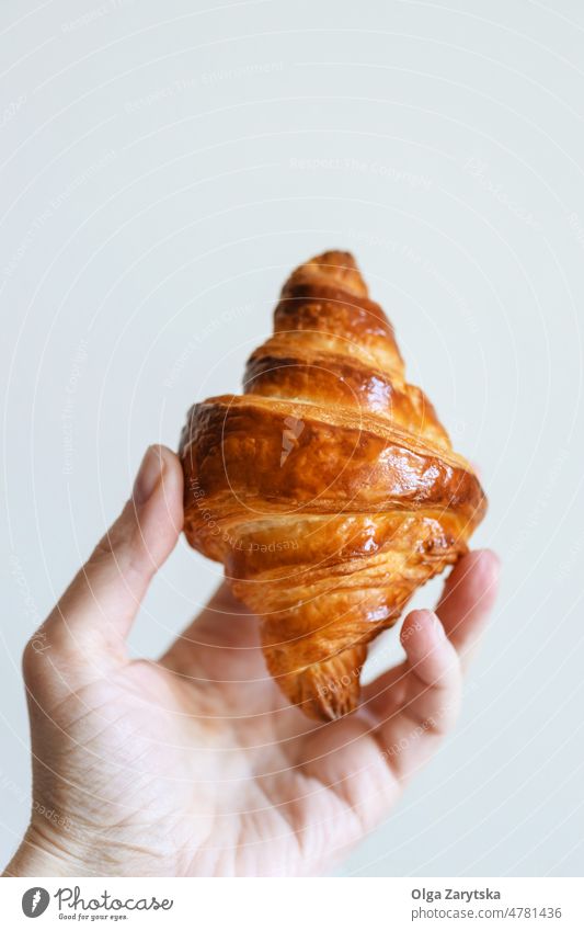 Hand holding homemade croissant. french hand female homebaked breakfast morning snack food pastry bakery traditional dessert delicious fresh roll gourmet crust