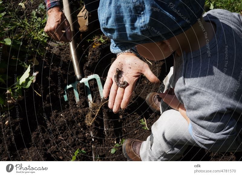 Childhood | discovering the world together. people Family grandpa and grandchildren in the garden Garden Earth Dig Pitchfork Garden tool Hand Toddler Earthworm