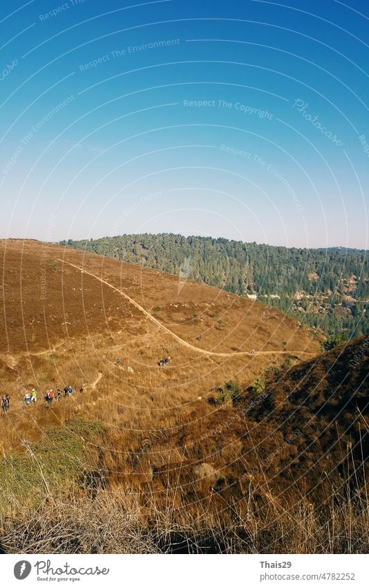 Group of tourists hiking, travelers on a trail in an Israeli desert mountains. Backpackers tourists group walking hiking rocks desert path trail. Israel desert hills landscape at spring, green grass