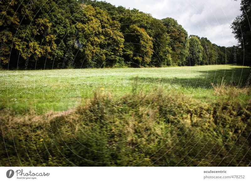 drive by Nature Landscape Clouds Spring Summer Tree Grass coppice Forest Authentic Green Germany Idyll Warmth Sunlight Lawn Shadow Deciduous forest