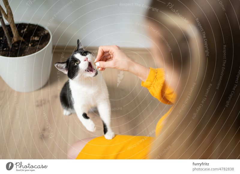 young woman kneeling on floor feeding snacks to her cat kitty one animal pet owner female person caucasian girl blond hair yellow long hair black and white