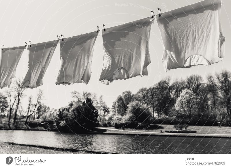 washing day Washing day Laundry clothesline Clothing T-shirt five 5 White Clean neat Dry Fresh Wind Hang Household Photos of everyday life garments River