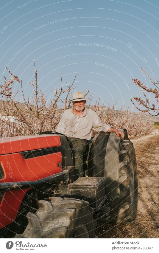 Man on tractor in orchard man industrial tree farmer apricot plantation countryside industry bloom cultivate garden blossom agriculture flora transport summer