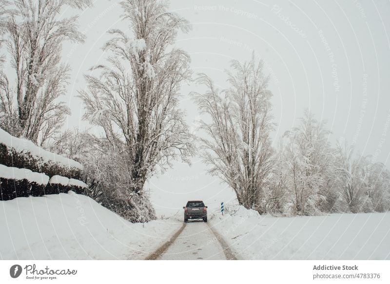 Car driving on snowy road car drive winter countryside hoarfrost speedway road trip automobile cold fog weather vehicle route frozen straight nature transport