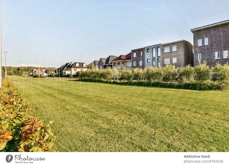 Meadow on the backyard of residential houses with trees and bushes terrace street veranda building city town plant property design district residence estate