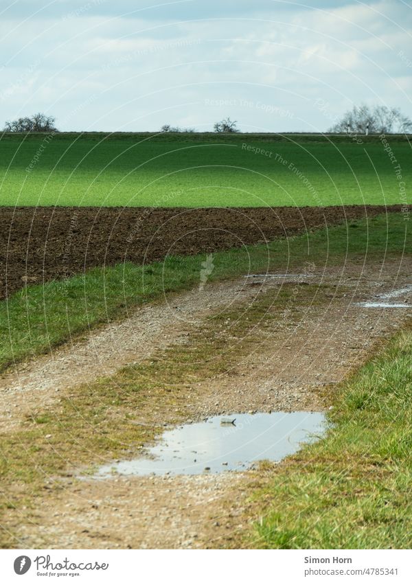 Field path in changing light Clouds Visual spectacle Lanes & trails Shadow pile To go for a walk Landscape off Environment Loneliness Hiking Puddle