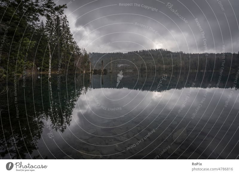 Lake in the historic slate mine Lehesten. Autumn Forest Edge of the forest autumn bush shrubby wood Nature Habitat nature conservation Environment