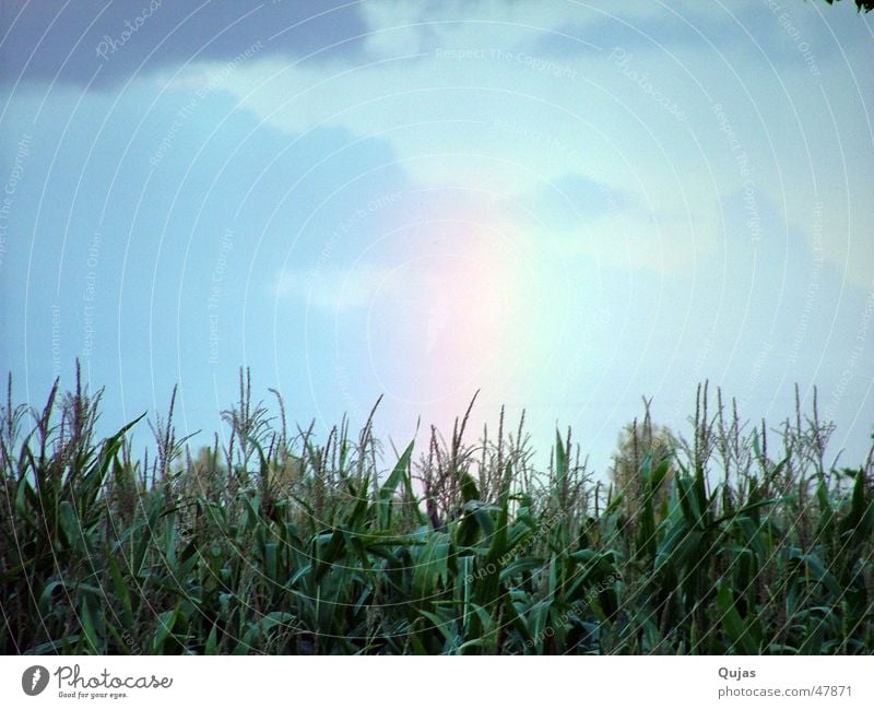 Rainbow in the evening RGB Sky Field Multicoloured Clouds Visual spectacle Play of colours Evil Beautiful Grief Natural phenomenon Light Exterior shot color