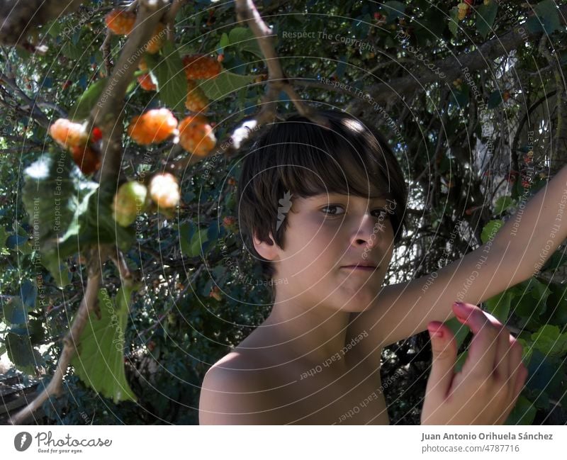 Boy eating blackberries from a tree. boy blackberry fruits kid gardening adorable young happiness outdoor raw branch freshness nutrition hand kids lifestyle