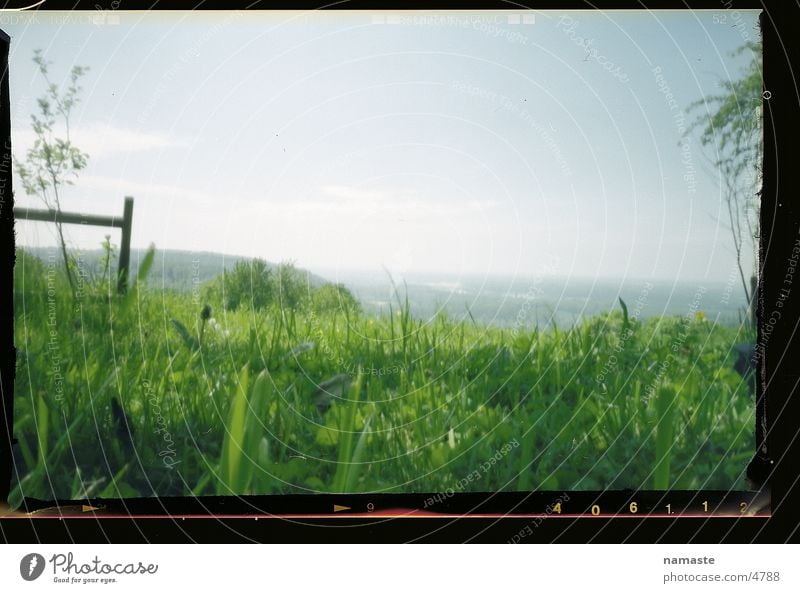 beetle landscape Grass Spring Moody Landscape beetle perspective hole camera Joy Nature Beautiful