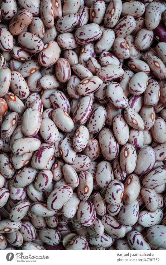 uncooked red beans, mediterranean food healthy fresh organic brown ingredient vegetarian vegan legume closeup natural raw nature dry agriculture market textured