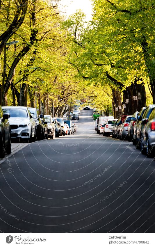 straight ahead Berlin Germany Capital city Life Town city district street photography City trip Scene scenery daily life urban Suburb Street Asphalt Right ahead