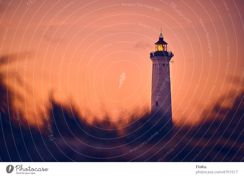 Lyngvig Fyr lighthouse behind the dunes of Denmark's coastline Lighthouse North Sea Maritime duene Ocean coastal landscape Manmade structures Landscape Landmark