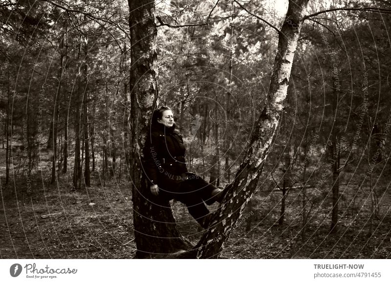 Forest Bathing, forest bathing trend: A woman in coat and scarf lets herself be carried by the strong arms of a birch tree in the forest and experiences how strength comes from calmness, while young pine trees around give shelter