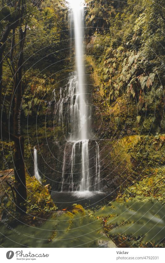 Waterfall around the levada faja do rodrigues trail on the island of Madeira, Portugal. A waterfall in the middle of an inescapable nature. Discovering a Portuguese island in the Atlantic Ocean