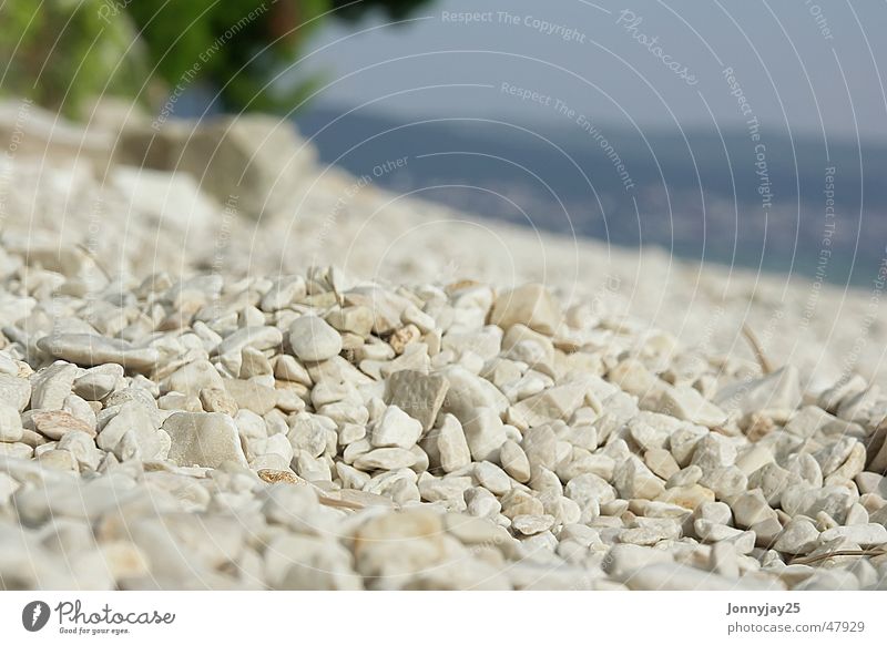 pebble beach Pebble Summer Sun Relaxation Croatia Beige Sunbathing Pebble beach Lie Vacation & Travel Light brown Ocean Rest Leisure and hobbies Beach Tree