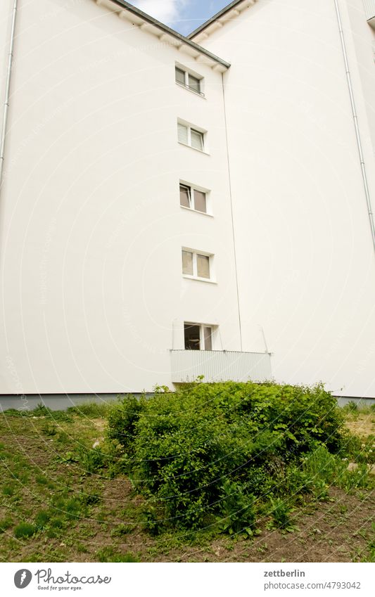 Freshly renovated facade Old building on the outside Berlin Fire wall Germany Facade Window Building Capital city House (Residential Structure) rear building