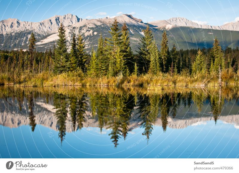 Jasper National Park Beautiful Vacation & Travel Summer Mountain Mirror Nature Landscape Sky Tree Hill Rock Coast Lake Lanes & trails Natural Blue Alberta calm