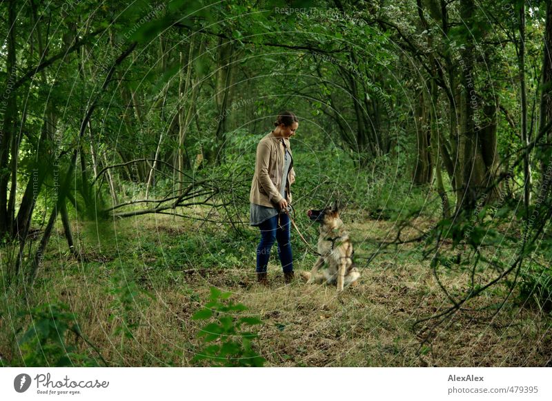 I took the dog out for a walk... - young woman with a German shepherd dog on a walk in nature Trip Adventure Hiking Young woman Youth (Young adults)