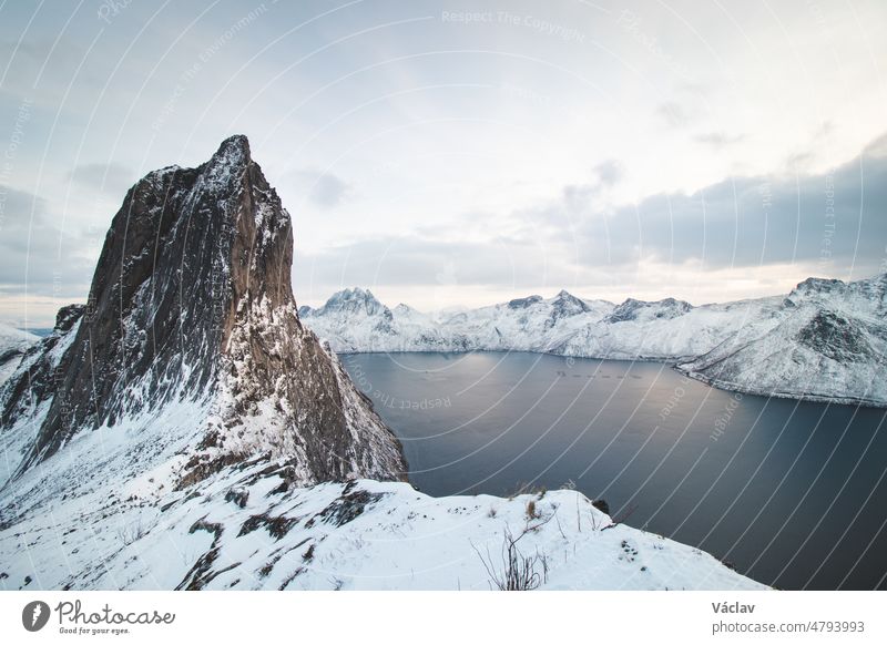 Mountain resembling a frosty rocky tooth on the Senja peninsula called Segla in northern Norway. A tourist attraction near the village of Fjordgard. Landscape beyond the Arctic Circle. Scandinavia