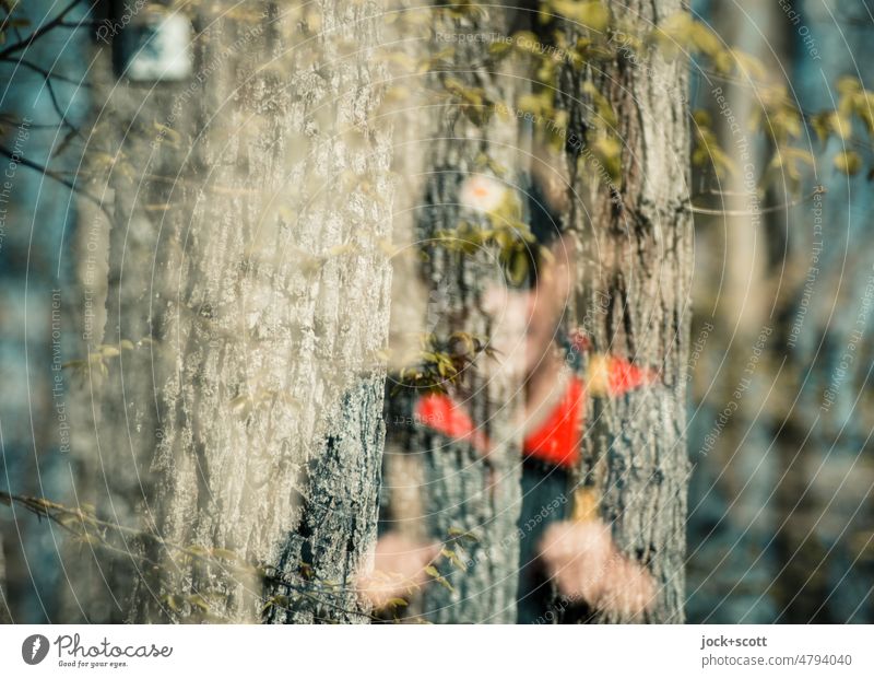 a hiker, connected with trees Man Hiking Nature Tree Tree bark Tree trunk Forest Environment defocused Double exposure Silhouette Reaction blurriness Illusion