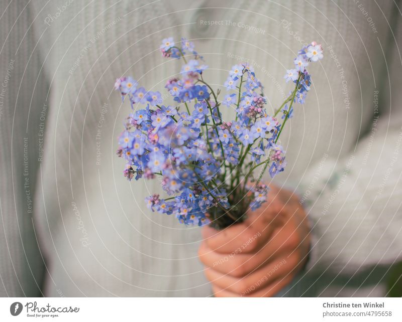 A small bouquet of forget-me-nots in the hand of a young woman Forget-me-not Blossom Blue Flower Blossoming Bouquet Hand stop To hold on Young woman blurriness