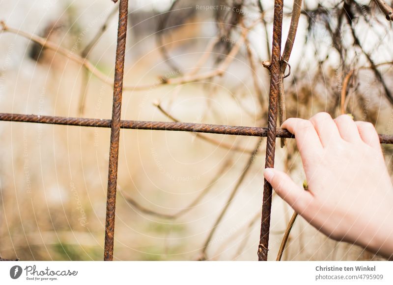 yearning for freedom Fence Captured captivity Freedom Longing Metalware Barrier Border Protection Bans Fear Hand To hold on Safety Threat Escape sensation