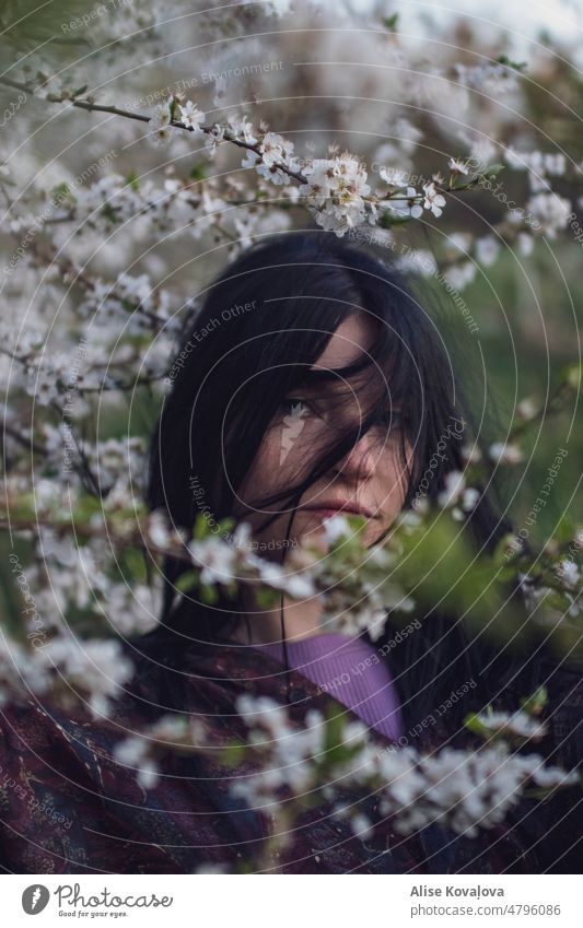 self portrait under a blooming plum tree II blossom dark hair Violet shirt blue eyes messy hair windy black hair green leaves Spring fever spring time