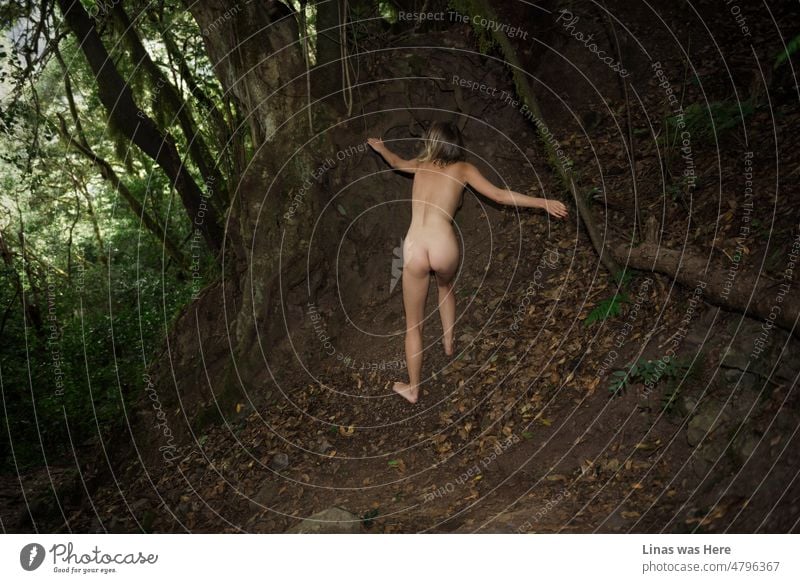 Wild woods of La Gomera, Canary Islands. Also, a wild and naked girl running all free in the forest. Her sexy curves look perfectly in this jungle. trees