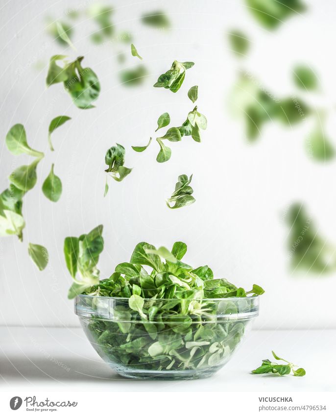 Green salad in glass bowl and flying lettuce leaves at white background. Healthy cooking green healthy preparation levitation food concept front view fresh