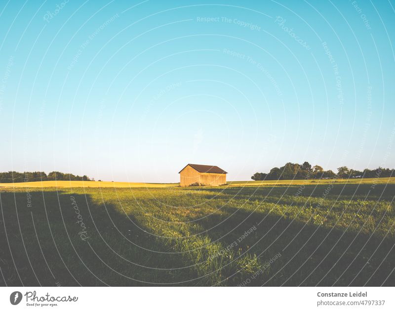 Barn with meadow and sky in evening light. Old Wood Hut Deserted Building Sky evening sky Meadow sunset mood long shadows Shadow Exterior shot Brown