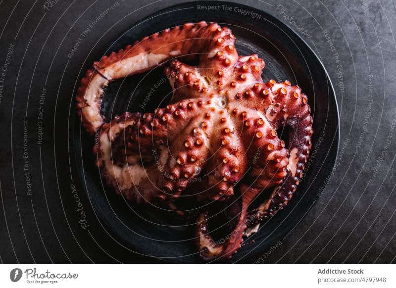 Delicious octopus served on plate seafood cuisine culinary exotic product natural tentacle gastronomy mollusc fresh light healthy ingredient nutrition nutrient