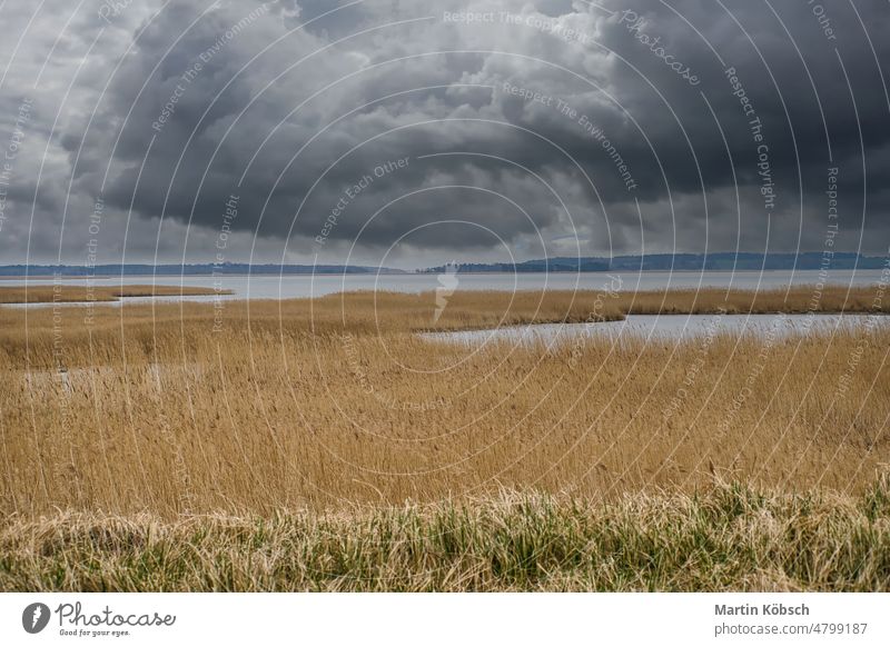 Bird lookout Pramort on the darss. wide landscape with dramatic clouds bird lookout pramort water seawater torism view national park resting place cane reed