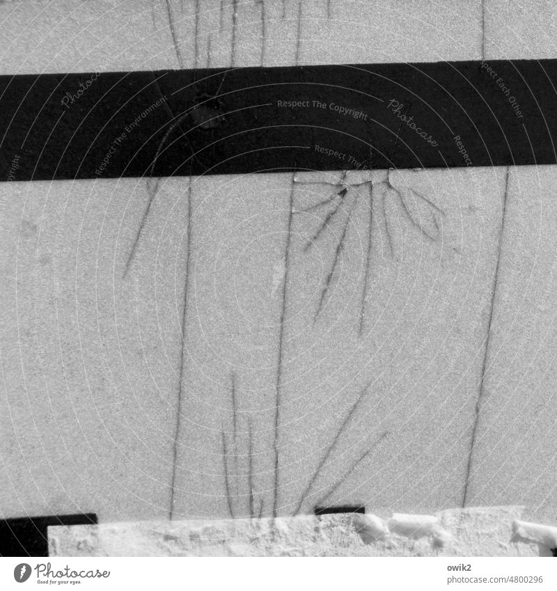 cell division Wall (building) Building defective Line Ravages of time Transience Crack & Rip & Tear Tracks Derelict Part Fragile Destruction Decline Trashy