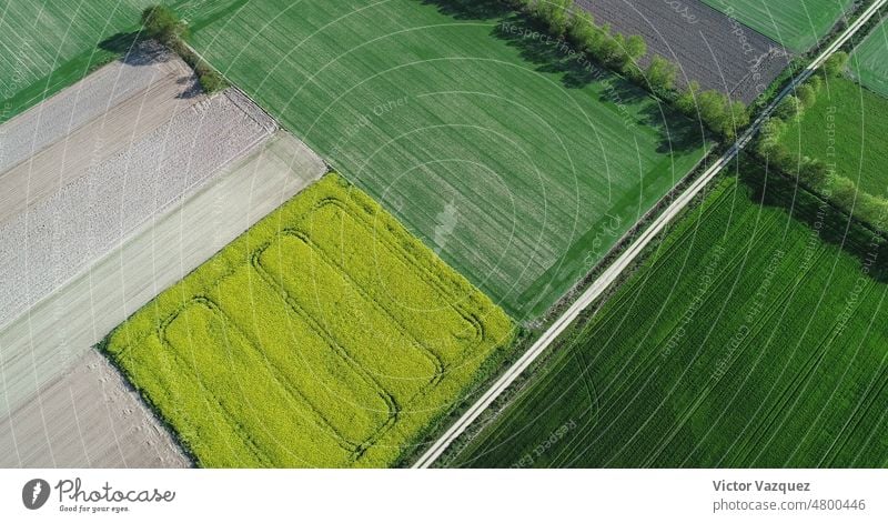 drone aerial view of some fields of rapeseed and cereal crops spain spring background scenic leaf environment light wallpaper tree pattern colours summer