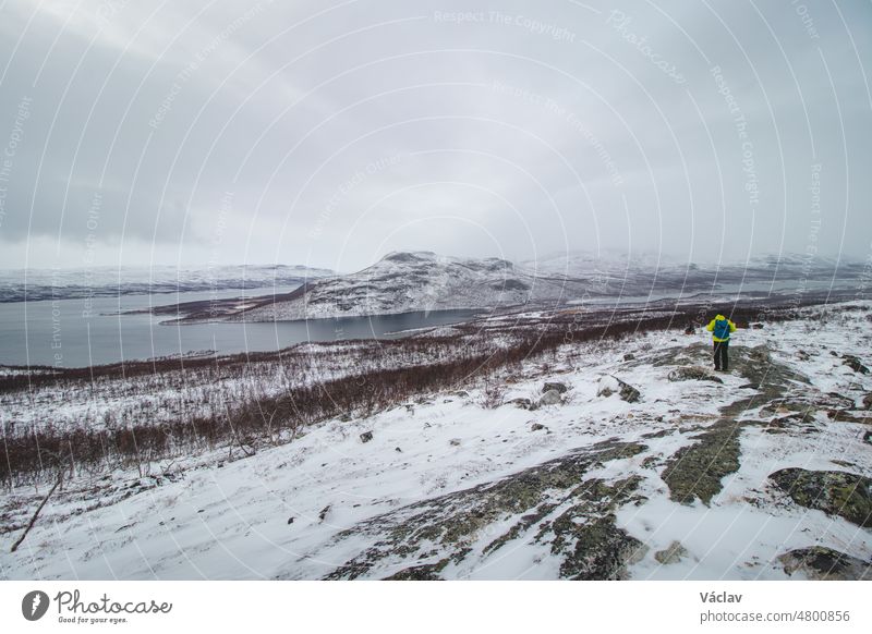 Frosty sunrise on Mount Saana in Lapland, northwestern Finland. Man in a green jacket walks overlooking the ylinen kilpisjarvi and rest of barren landscape. Kilpisjarvi village. Border with Norway