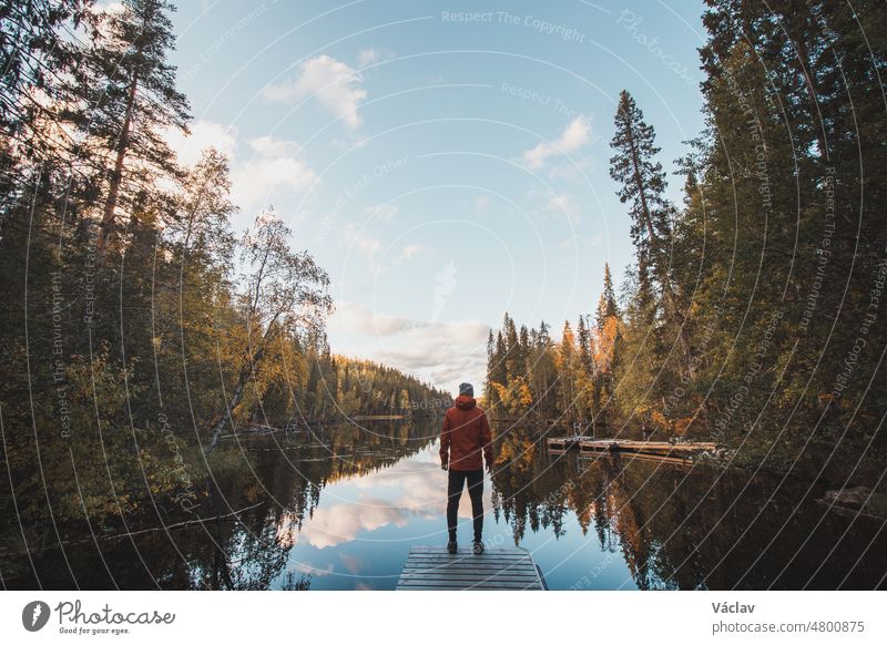 Tireless traveller stands at the end of the pier, admiring the beauty of a stunning autumn in the desolate wilderness of Hossa National Park in Lapland, northern Finland