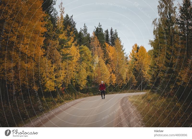 Man aged 23 wearing a checked red and black shirt walks along a foamy path surrounded by beautiful deciduous trees coloured in autumn colours. Enjoy the moment. Kainuu region, Finland