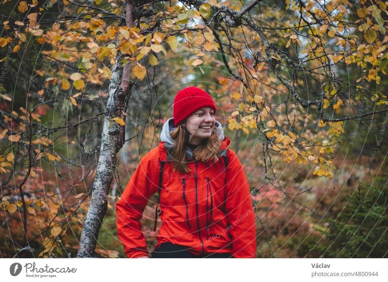 beautiful brunette traveller is sitting on top of a hill on a rock, resting after a hard climb. Sunset on top of a mountain in Vuokatti, Kainuu region, Finland. Natural smile of a girl in her 20s