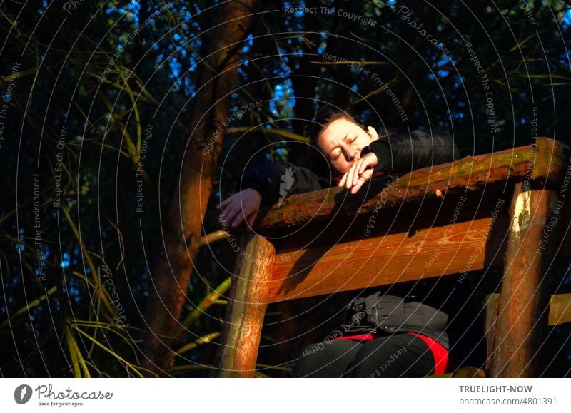 Hanging out on the high seat in the forest in the evening sun - maybe tired from long waiting for the wild boar, deer, hare Woman Forest Hunting Blind