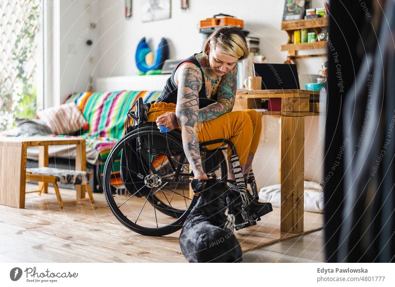 Young tattooed woman in a wheelchair with her dog at home domestic life confidence indoors house people young adult casual female Caucasian attractive beautiful