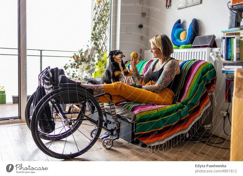 Young woman with disability with her dog at home wheelchair domestic life confidence indoors house people young adult casual female Caucasian attractive