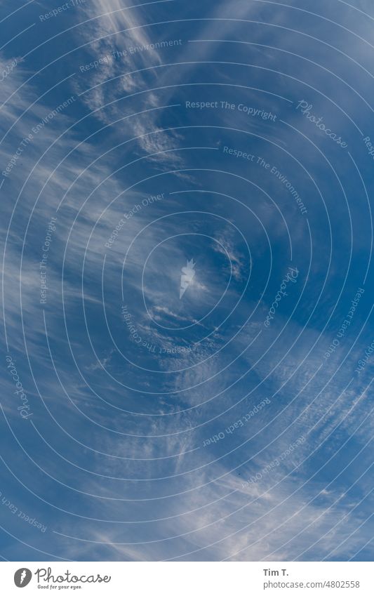 canopy Sky Blue Clouds Blue sky Day Exterior shot Colour photo Beautiful weather Deserted Air Weather Environment Copy Space top Sky only Copy Space left