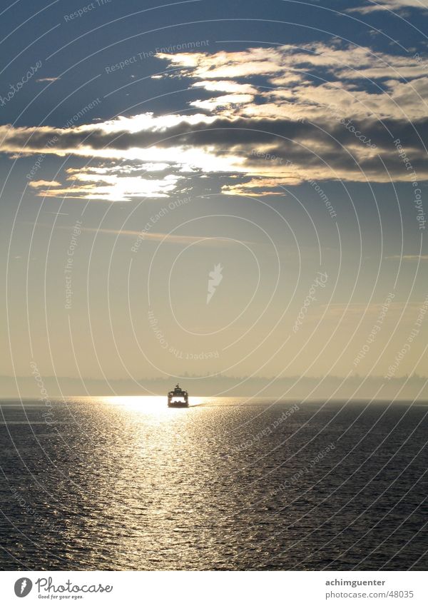 Take me to the light! Ferry Lake Back-light Watercraft Waves Calm Romance Relaxation Peace Fog Clouds Lake Constance Evening Sky