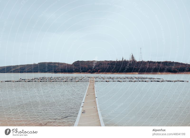 Shoe for you | Bridge at noon jetty Lake Idyll Water Exterior shot Colour photo Deserted Relaxation Landscape Reflection Surface of water Beautiful weather