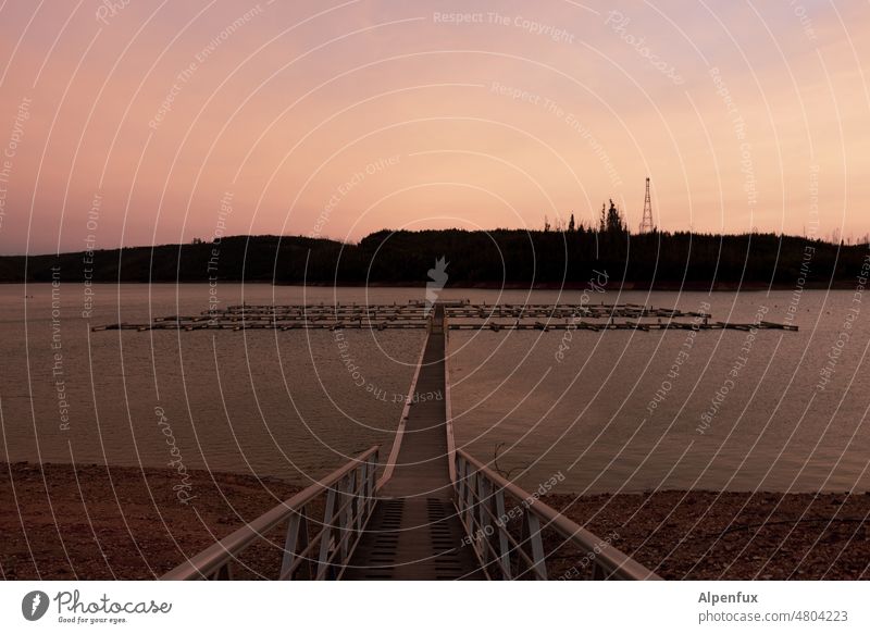 Jetty in the evening jetty Lake Idyll Water Exterior shot Colour photo Deserted Relaxation Landscape Reflection Surface of water Beautiful weather Footbridge