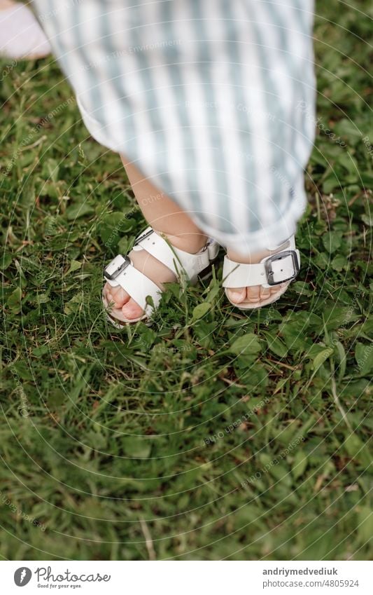 cropped photo of baby boy takes the first steps on the grass in summer, on a Sunny day, playing in green garden. Selective focus, space for text. happy childhood